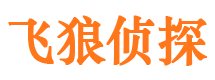 房县市侦探调查公司